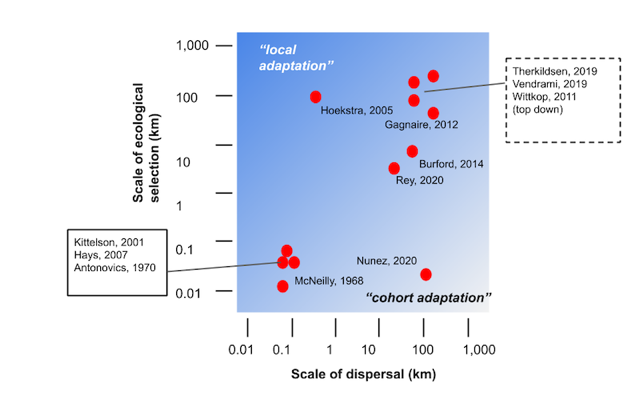 Fig1