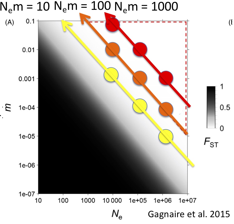 Figure 1 - F_st as a function of population size and migration rate. Red triangle outlines the Waples Zone. Dots show my simulations for various parameter combinations. Figure modified from Gagnaire et al. 2015